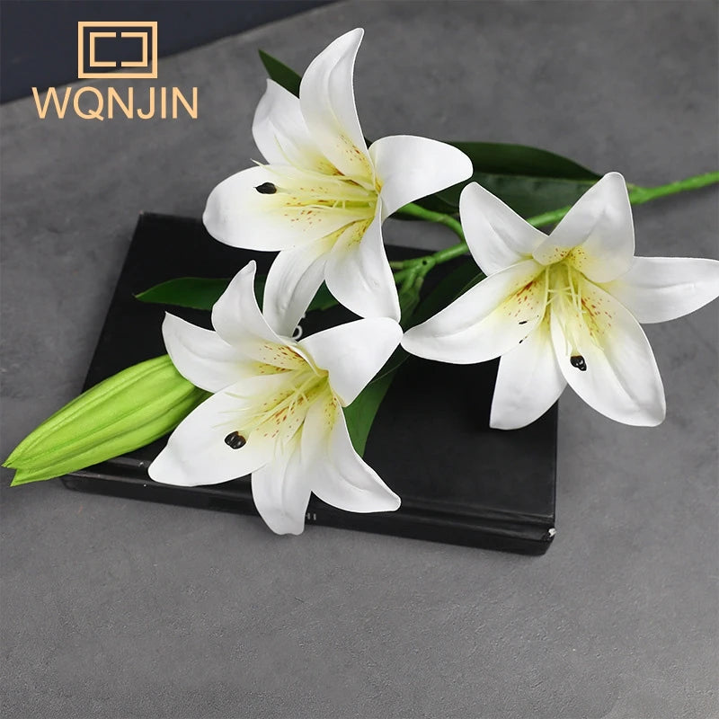 Peace Lily Plant — Sympathy Gift
