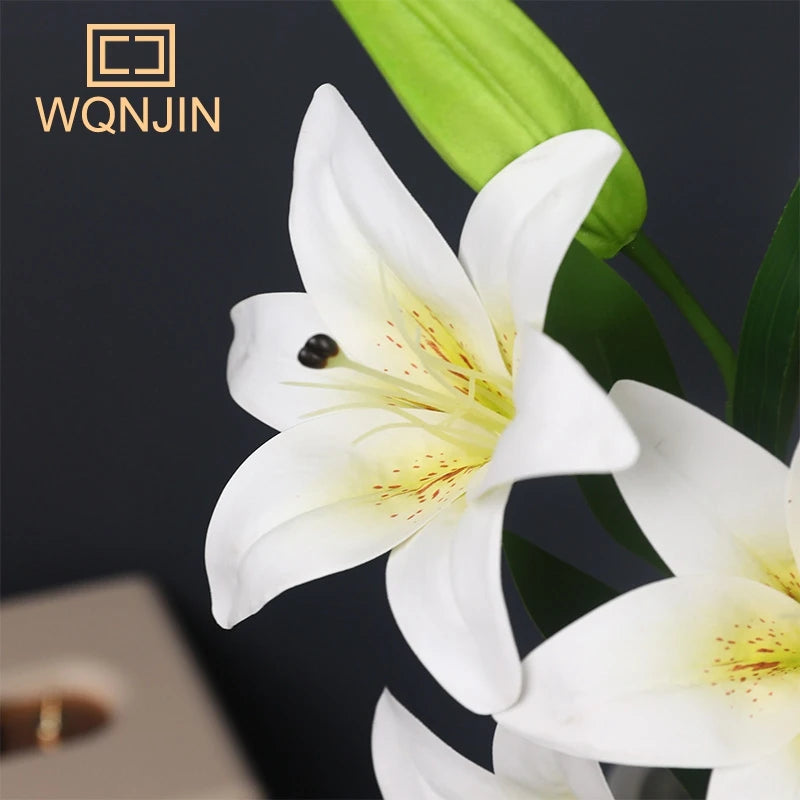 Peace Lily Plant — Sympathy Gift
